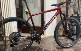2021 S-Works Epic Hardtail