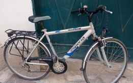 Bici da uomo rubata