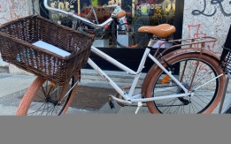 BICI DONNA RUBATA A MILANO