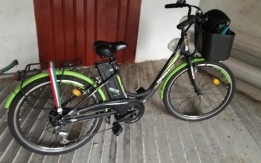 Bici elettrica rubata Parma