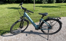 Bici elettrica Tenways CGO800S