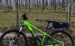 Bici rubata a Verona