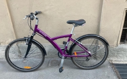 Bici viola Rubata, era regalo alla mia ragazza