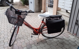 Verona - Bicicletta da donna Green Moving rubata
