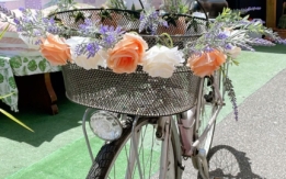 Bicicletta da donna marca Bottecchia rubata a Viareggio