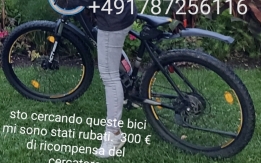 Ebike rubate a Milano