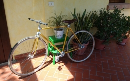 Furto bicicletta Alan anni 70