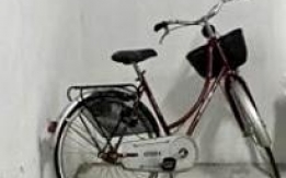 Furto bicicletta Cinzia Bordeaux con cestino
