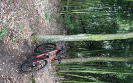 Gravel bike roondo