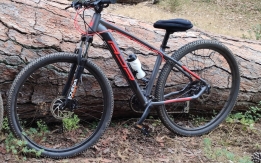 MTB rubata Cascina (Pisa)