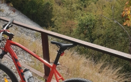 Mtb Scott rubata a Gorizia