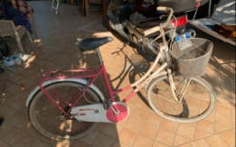 Rubata bici limitrofi polo Zanotto Verona