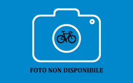 Rubata bici Milano (Turro)