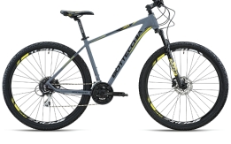 RUBATA BOTTECCHIA FX116